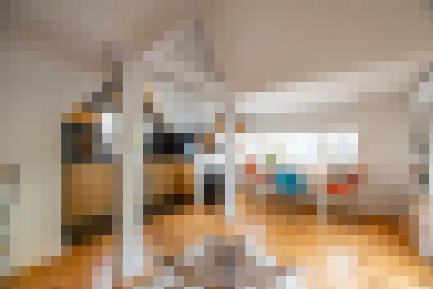 Nieuwpoortslaan 102 Alkmaar thumbnail 24