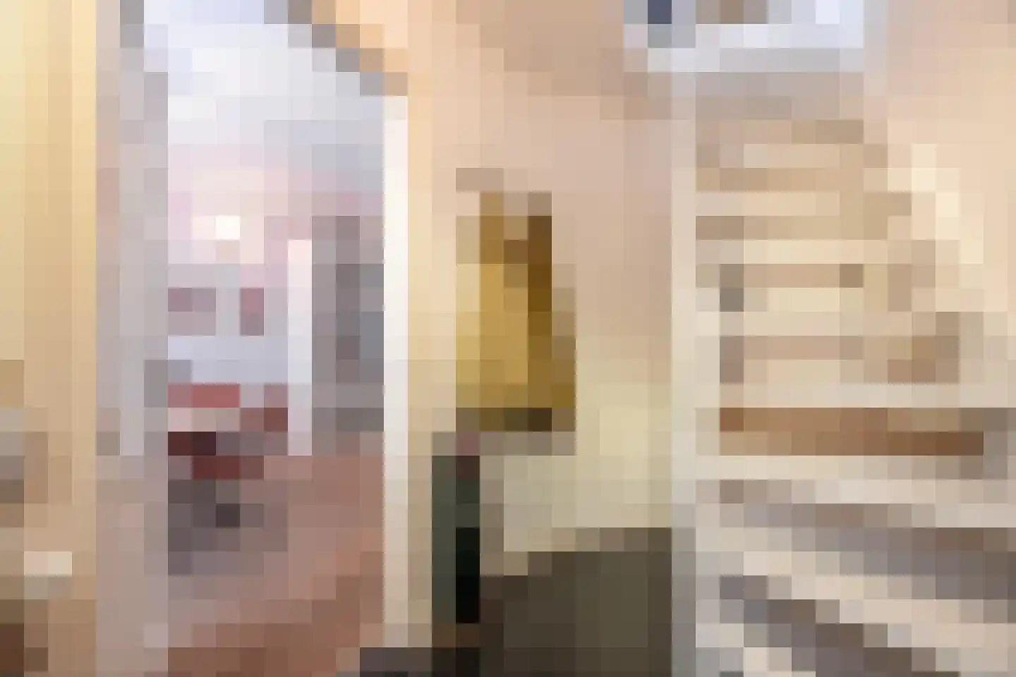 Nieuwpoortslaan 102 Alkmaar thumbnail 30