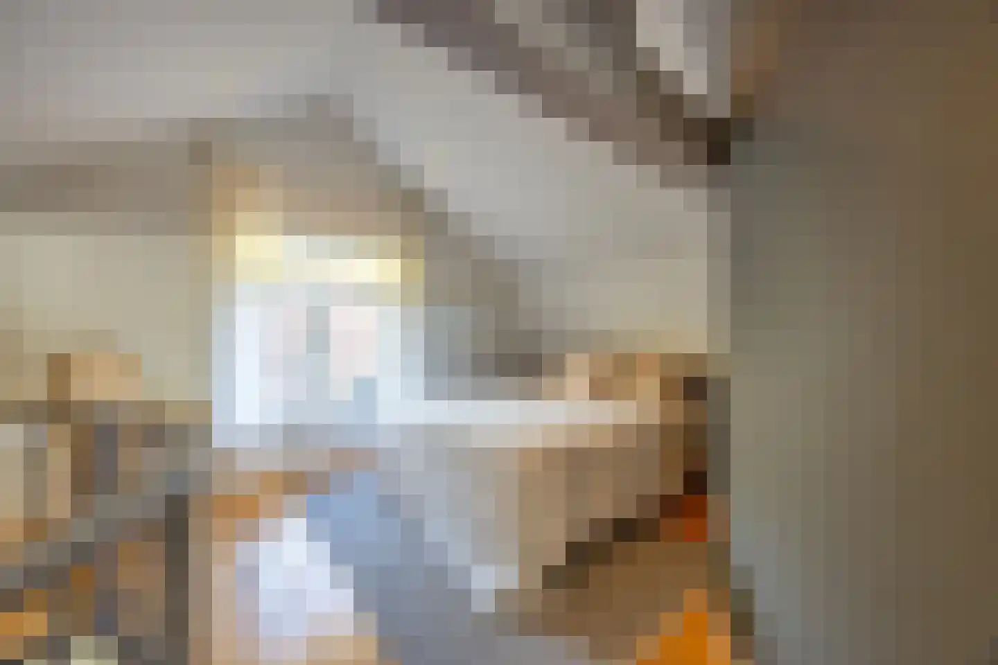 Nieuwpoortslaan 102 Alkmaar thumbnail 31