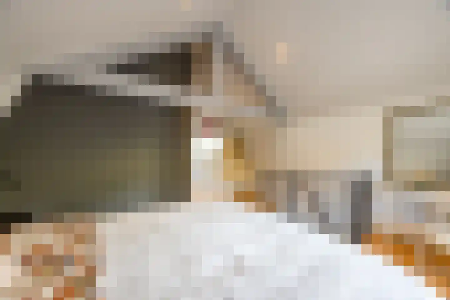 Nieuwpoortslaan 102 Alkmaar thumbnail 34
