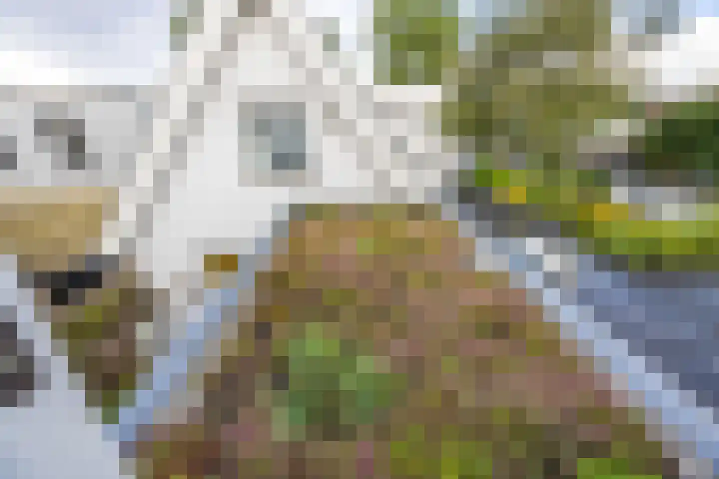 Nieuwpoortslaan 102 Alkmaar thumbnail 37