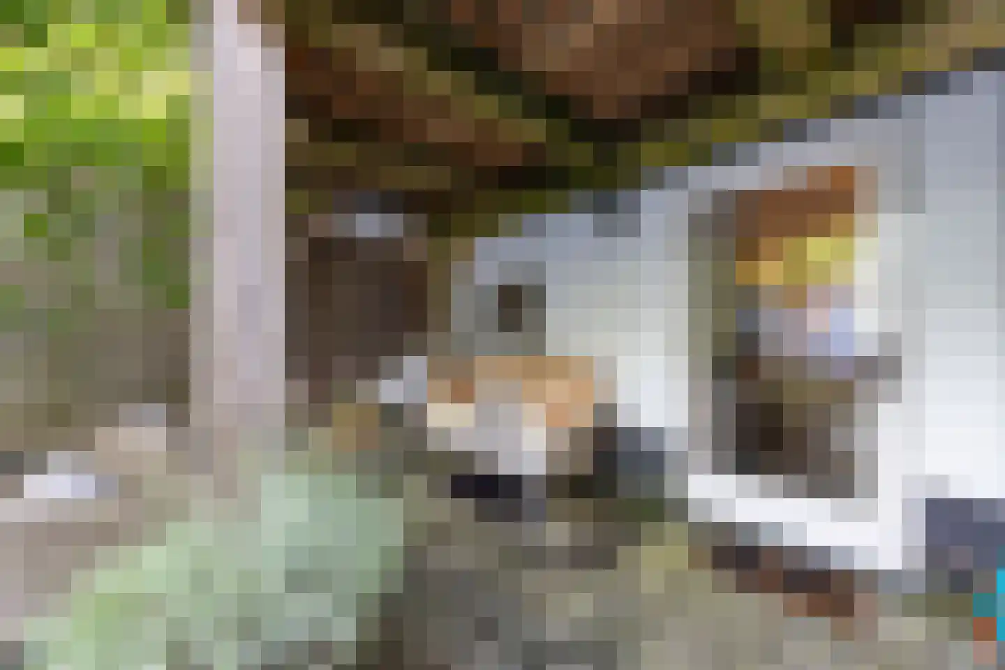 Nieuwpoortslaan 102 Alkmaar thumbnail 42