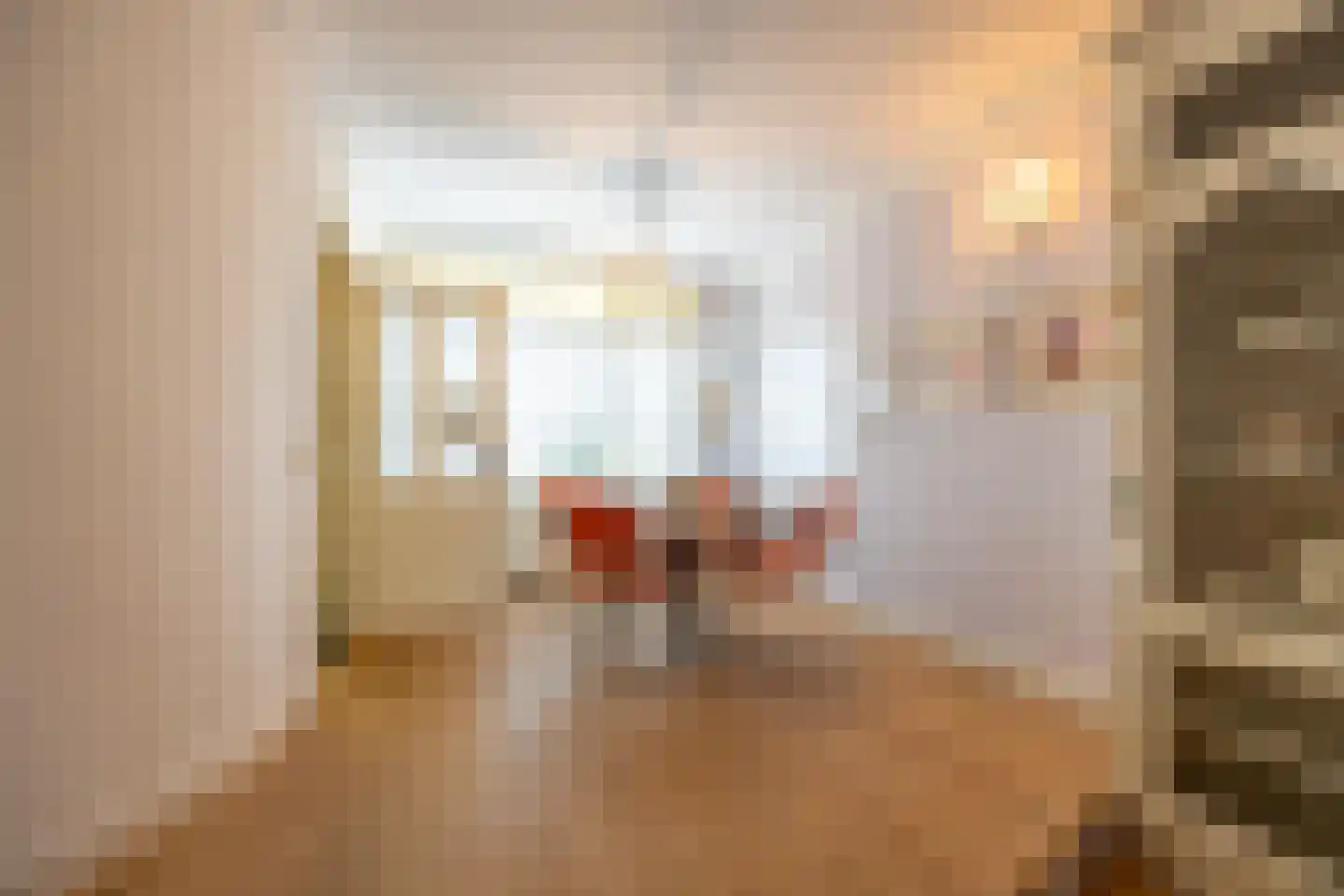 Nieuwpoortslaan 102 Alkmaar thumbnail 6