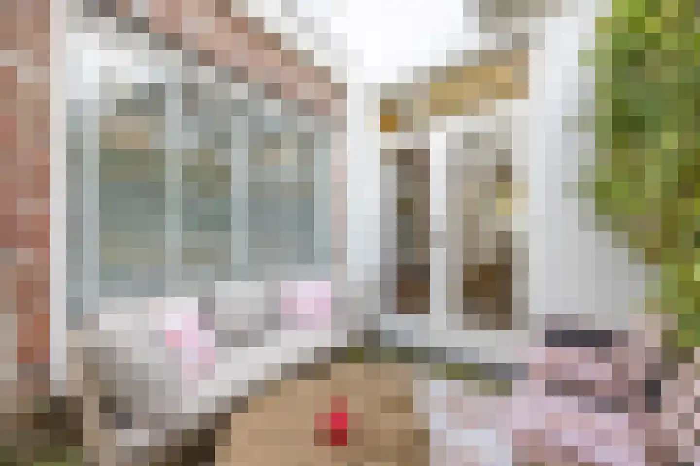Nieuwpoortslaan 102 Alkmaar thumbnail 9