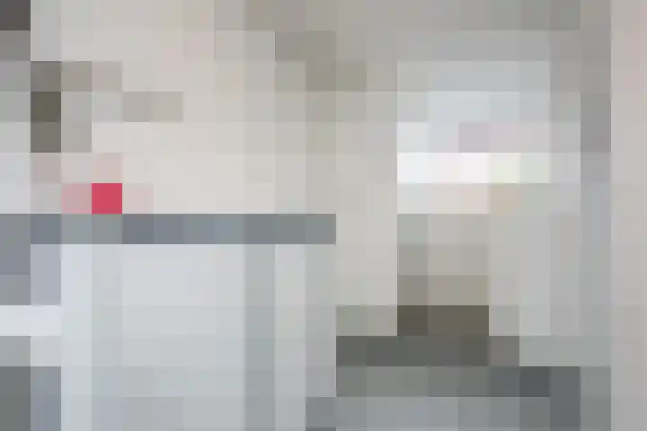 Nieuwpoortslaan 171 Alkmaar thumbnail 21