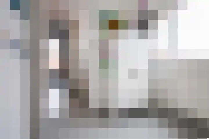 Nieuwpoortslaan 171 Alkmaar thumbnail 24