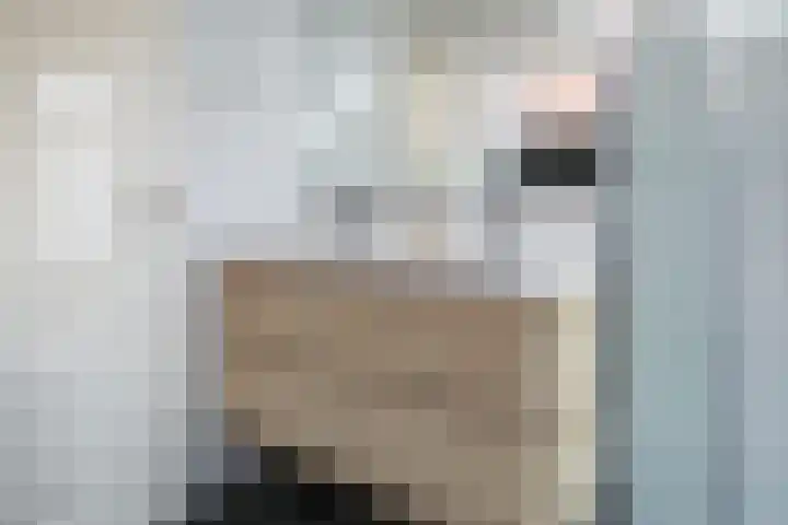 Nieuwpoortslaan 171 Alkmaar thumbnail 27