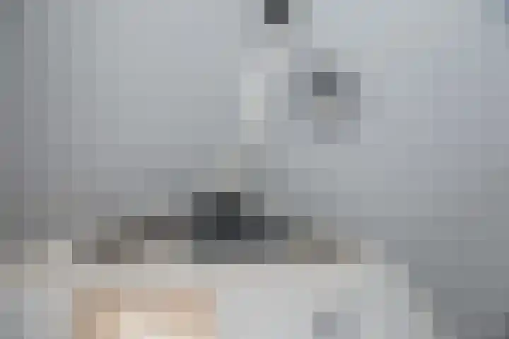 Nieuwpoortslaan 171 Alkmaar thumbnail 32