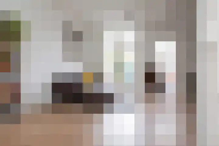Nieuwpoortslaan 171 Alkmaar thumbnail 9