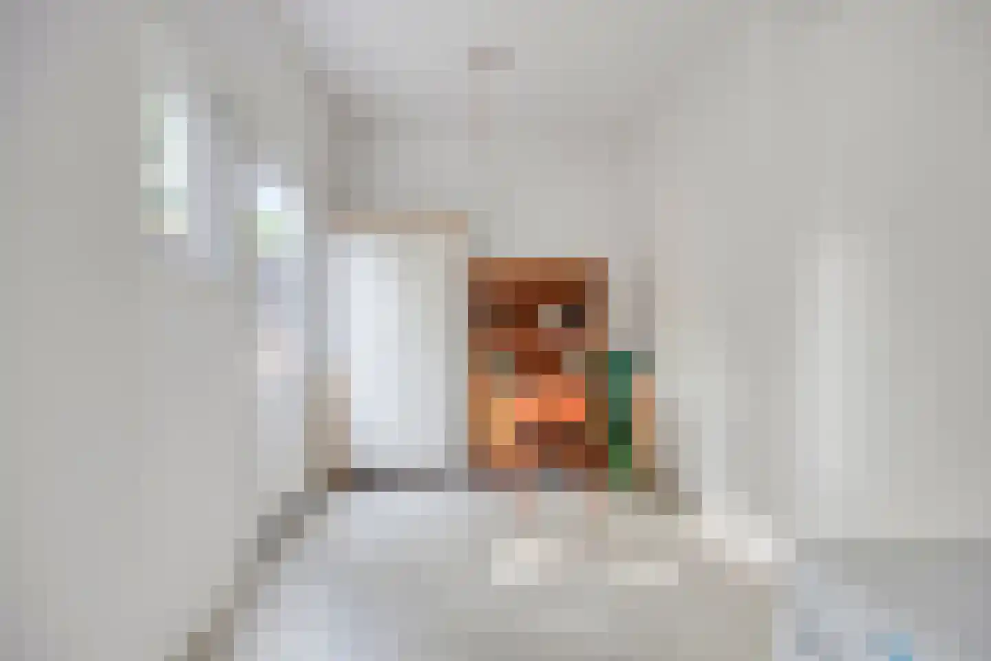 Nieuwpoortslaan 182 Alkmaar thumbnail 12