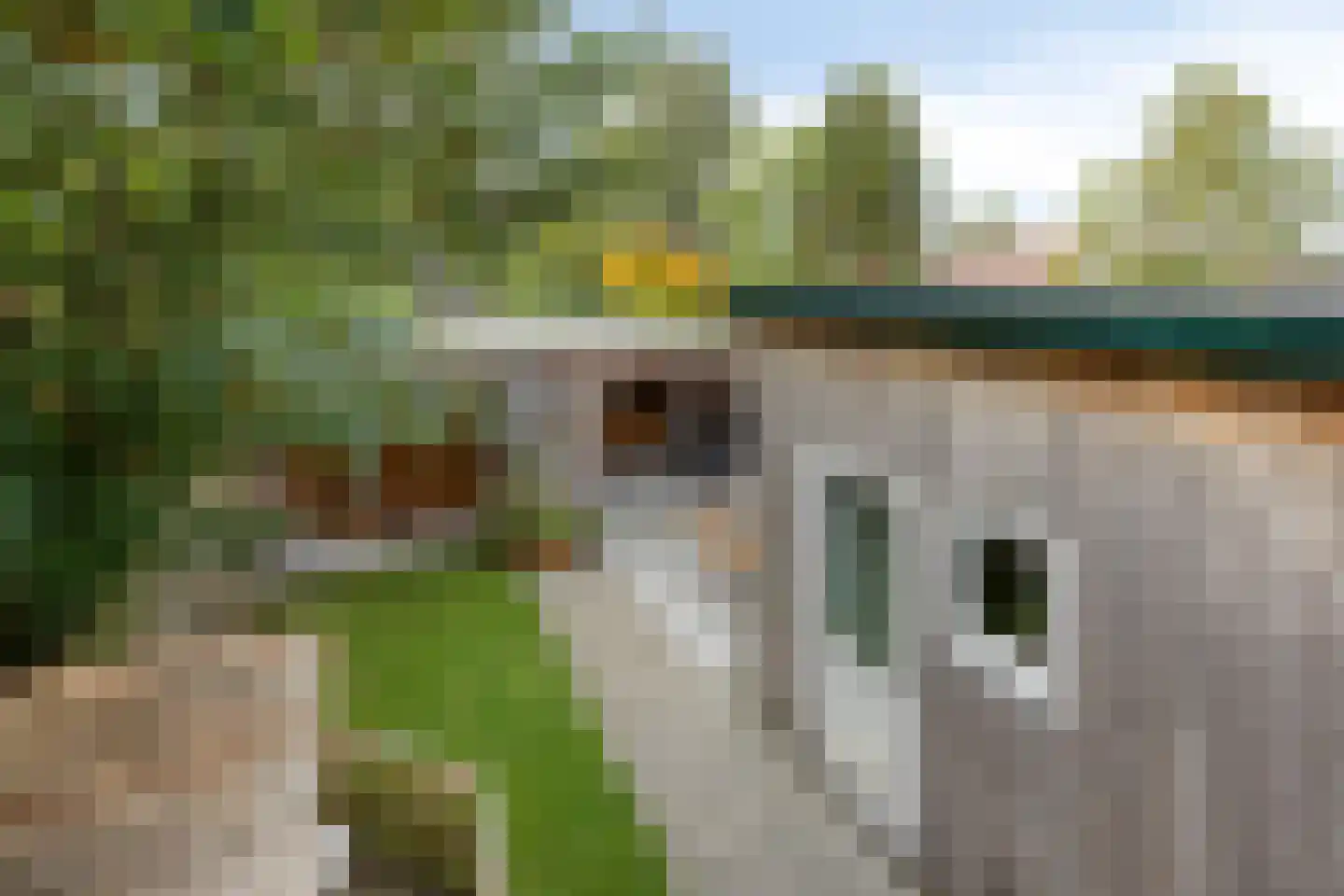 Nieuwpoortslaan 182 Alkmaar thumbnail 24