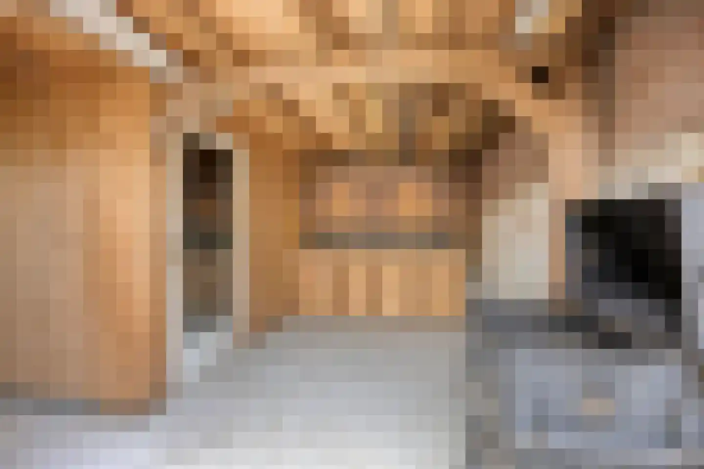 Nieuwpoortslaan 182 Alkmaar thumbnail 25