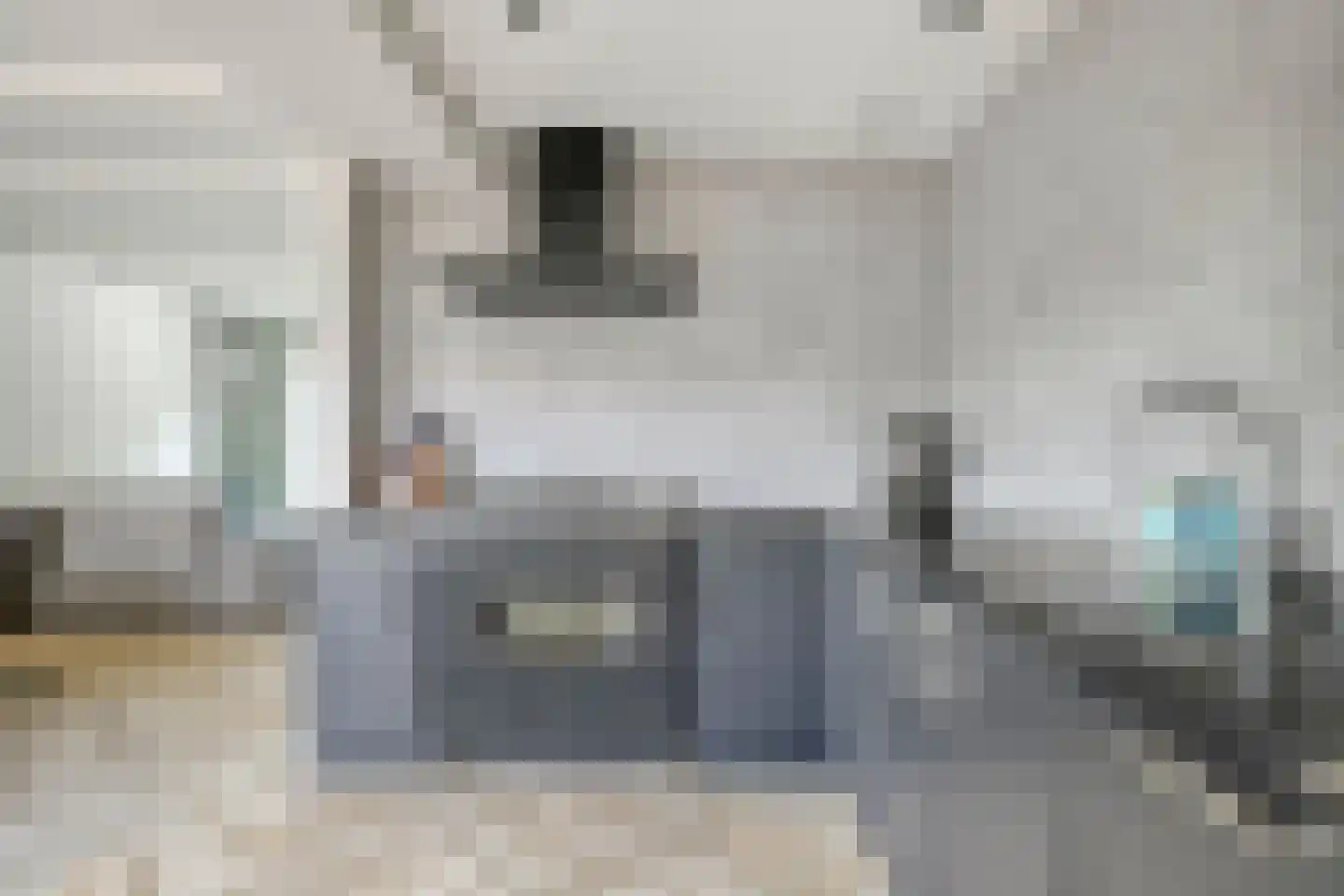 Nieuwpoortslaan 24 Monnickendam thumbnail 13