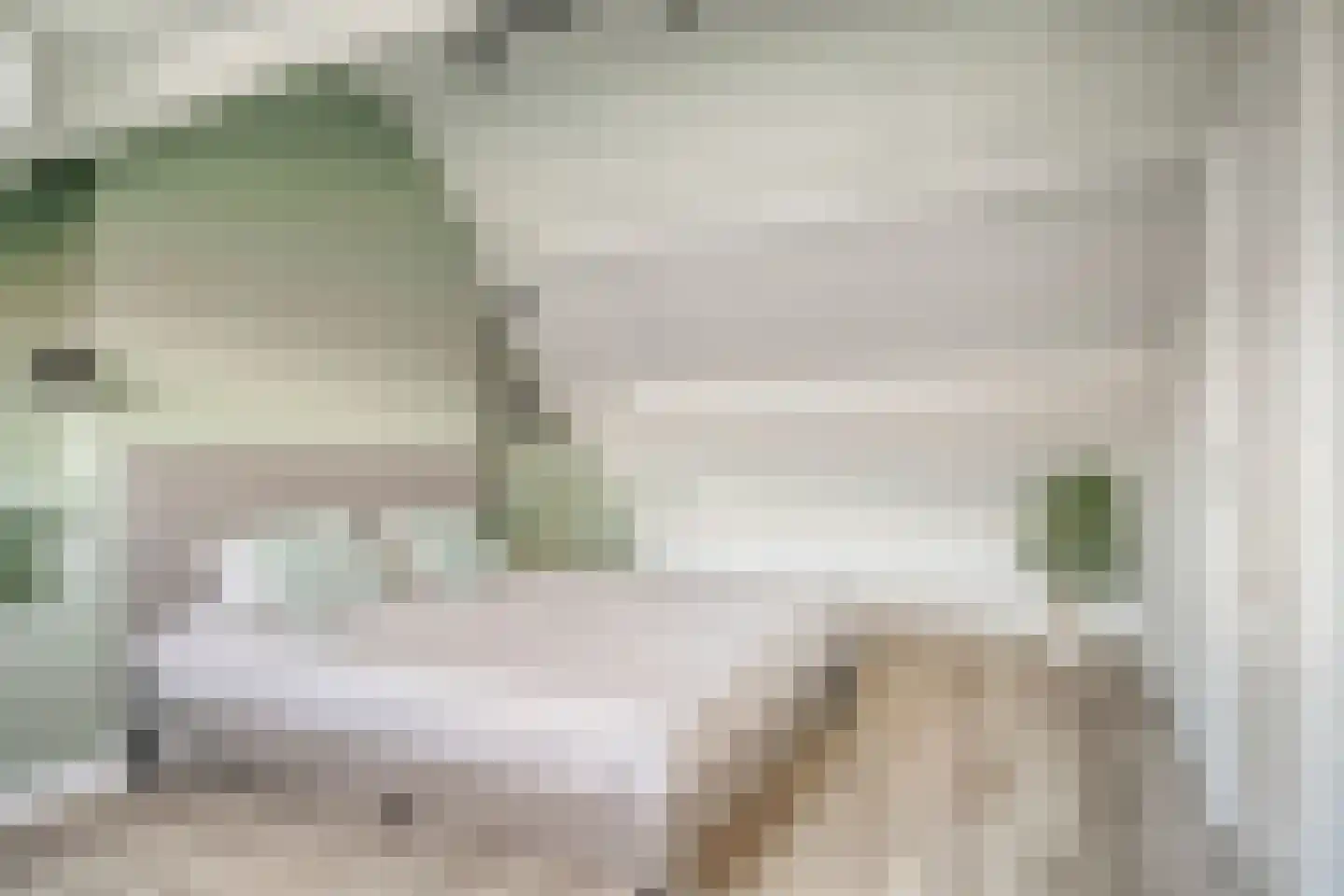 Nieuwpoortslaan 24 Monnickendam thumbnail 29