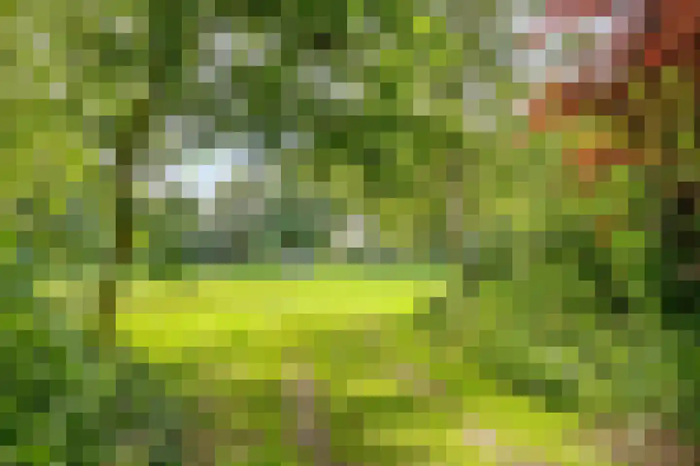 Nieuwpoortslaan 24 Monnickendam thumbnail 37