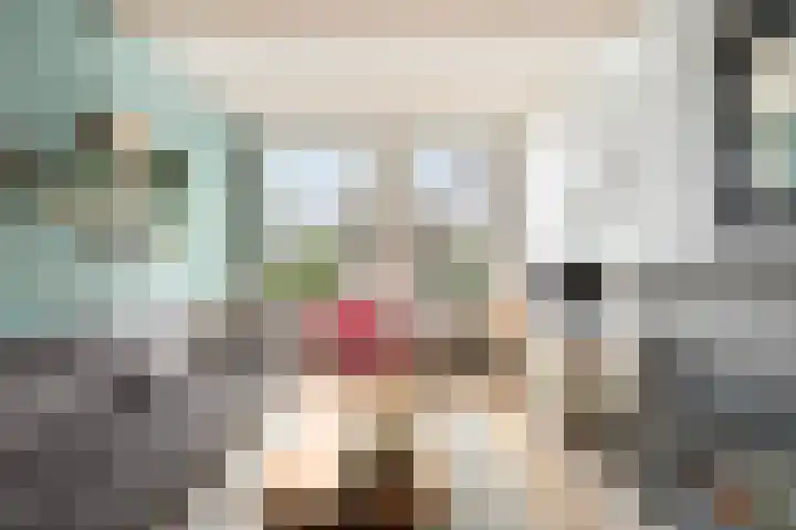 Nieuwpoortslaan 4 Alkmaar thumbnail 11