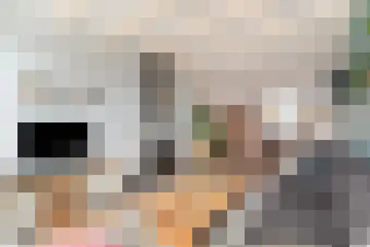 Nieuwpoortslaan 4 Alkmaar thumbnail 12