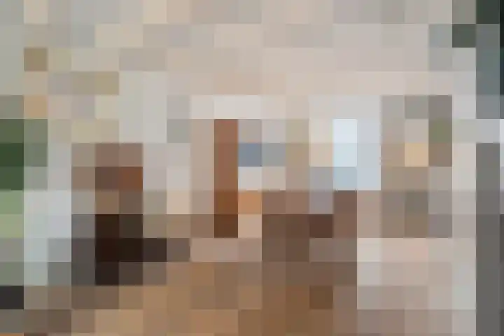 Nieuwpoortslaan 4 Alkmaar thumbnail 15