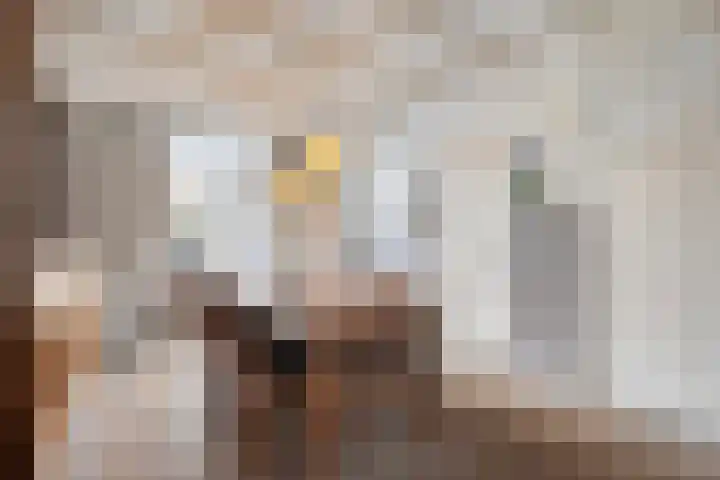 Nieuwpoortslaan 4 Alkmaar thumbnail 17