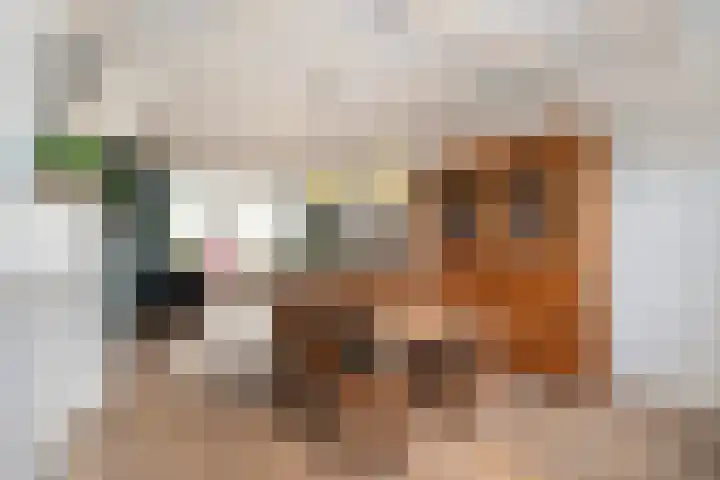Nieuwpoortslaan 4 Alkmaar thumbnail 19