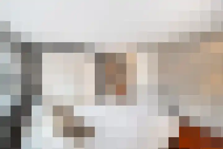 Nieuwpoortslaan 4 Alkmaar thumbnail 26
