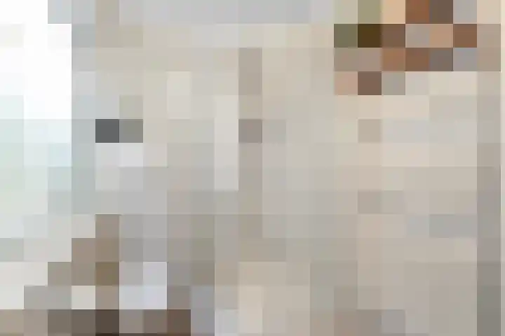 Nieuwpoortslaan 4 Alkmaar thumbnail 27