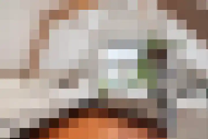 Nieuwpoortslaan 4 Alkmaar thumbnail 33