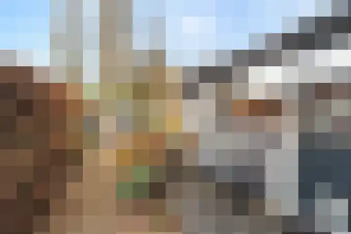 Nieuwpoortslaan 4 Alkmaar thumbnail 35