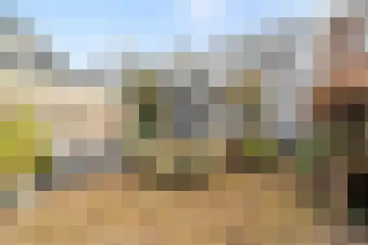 Nieuwpoortslaan 4 Alkmaar thumbnail 39