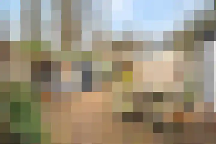 Nieuwpoortslaan 4 Alkmaar thumbnail 40