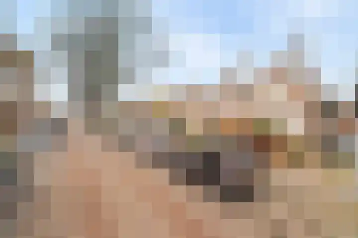 Nieuwpoortslaan 4 Alkmaar thumbnail 41