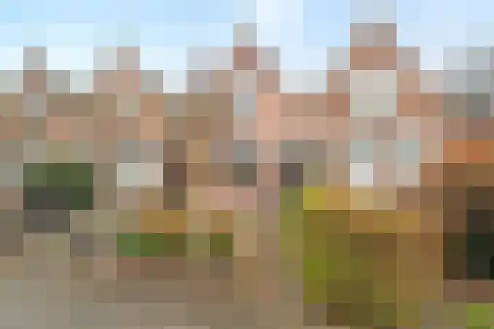 Nieuwpoortslaan 4 Alkmaar thumbnail 5