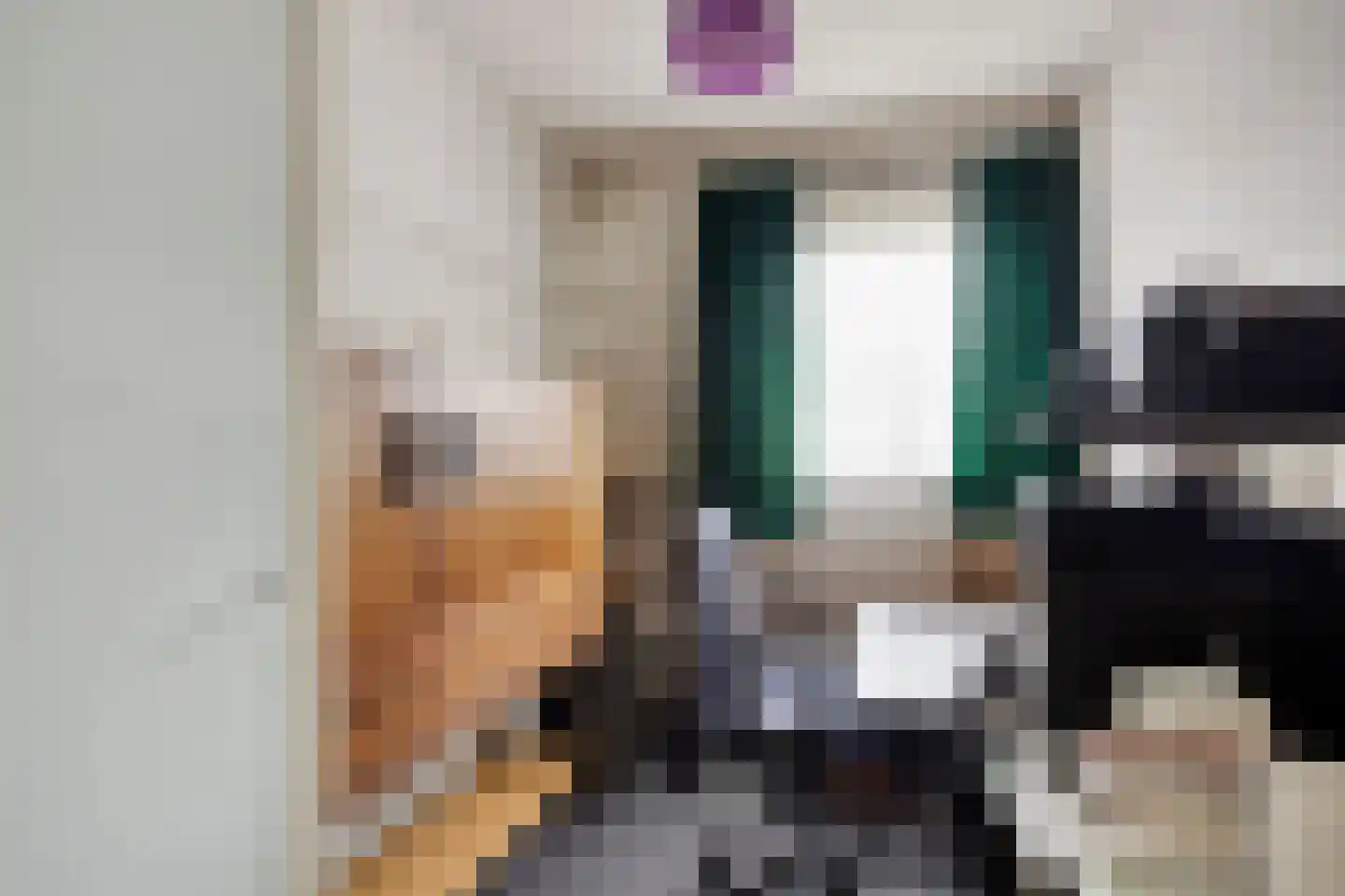 Nieuwpoortslaan 40 Monnickendam thumbnail 30
