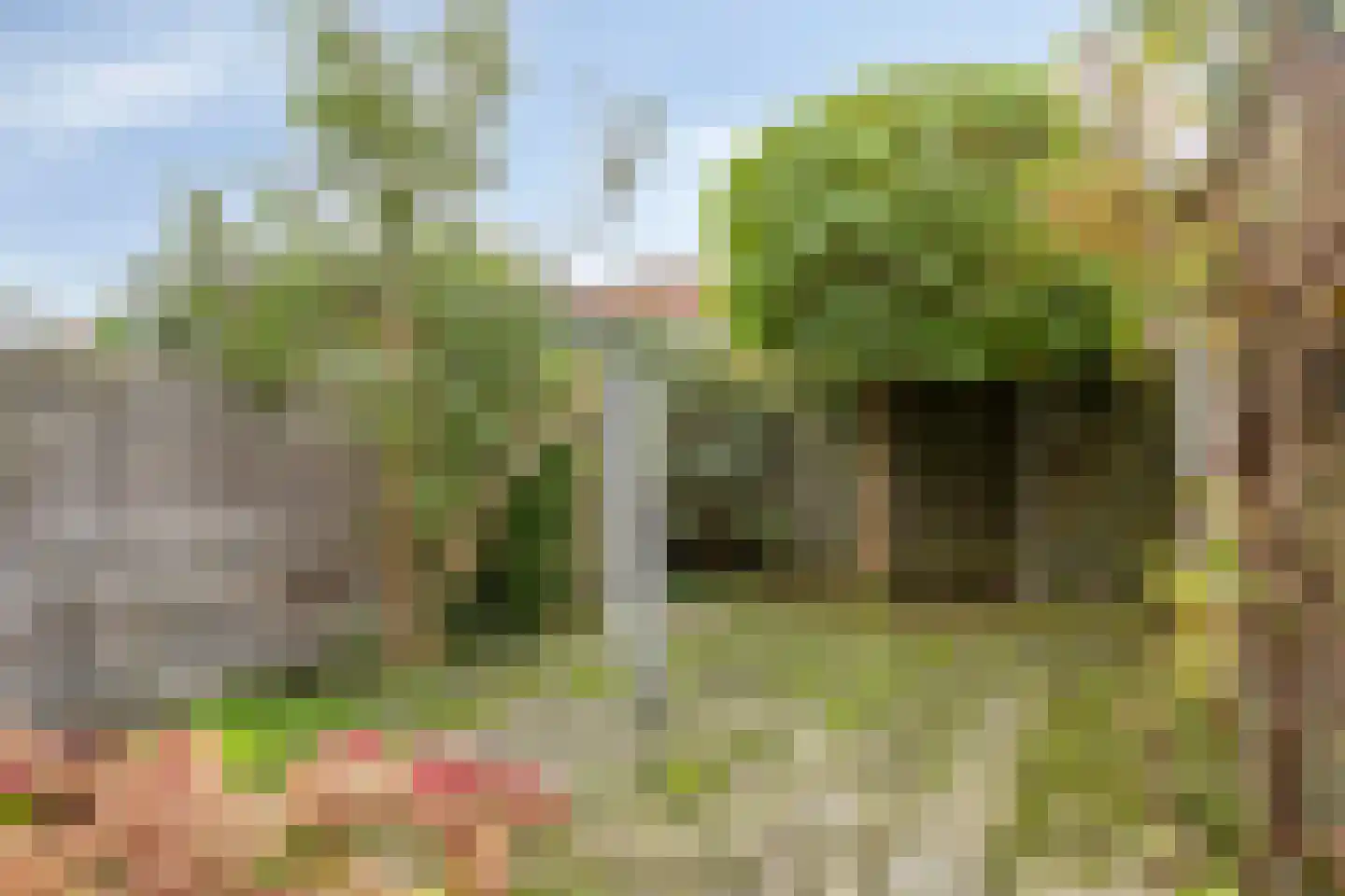 Nieuwpoortslaan 40 Monnickendam thumbnail 36