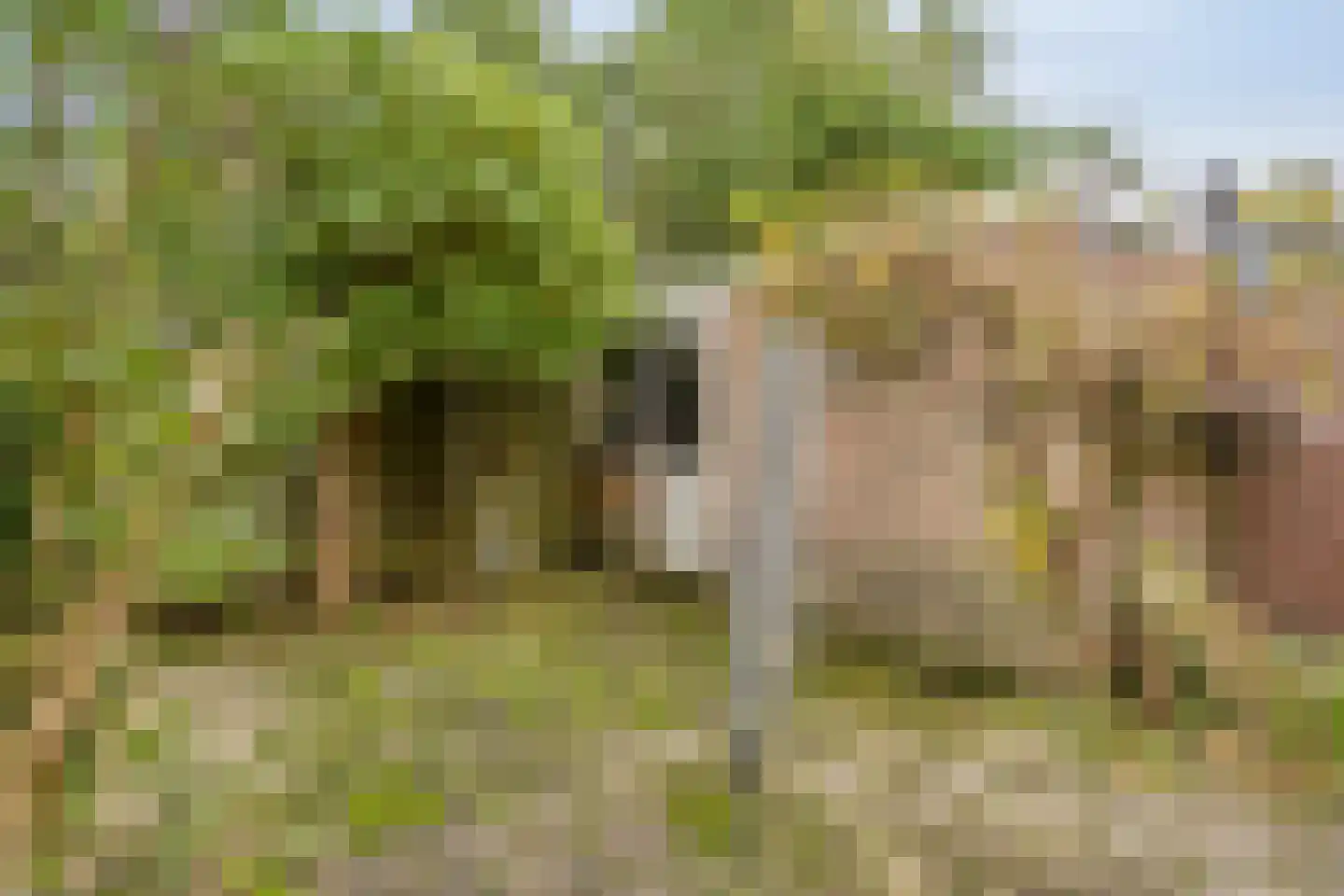Nieuwpoortslaan 40 Monnickendam thumbnail 37