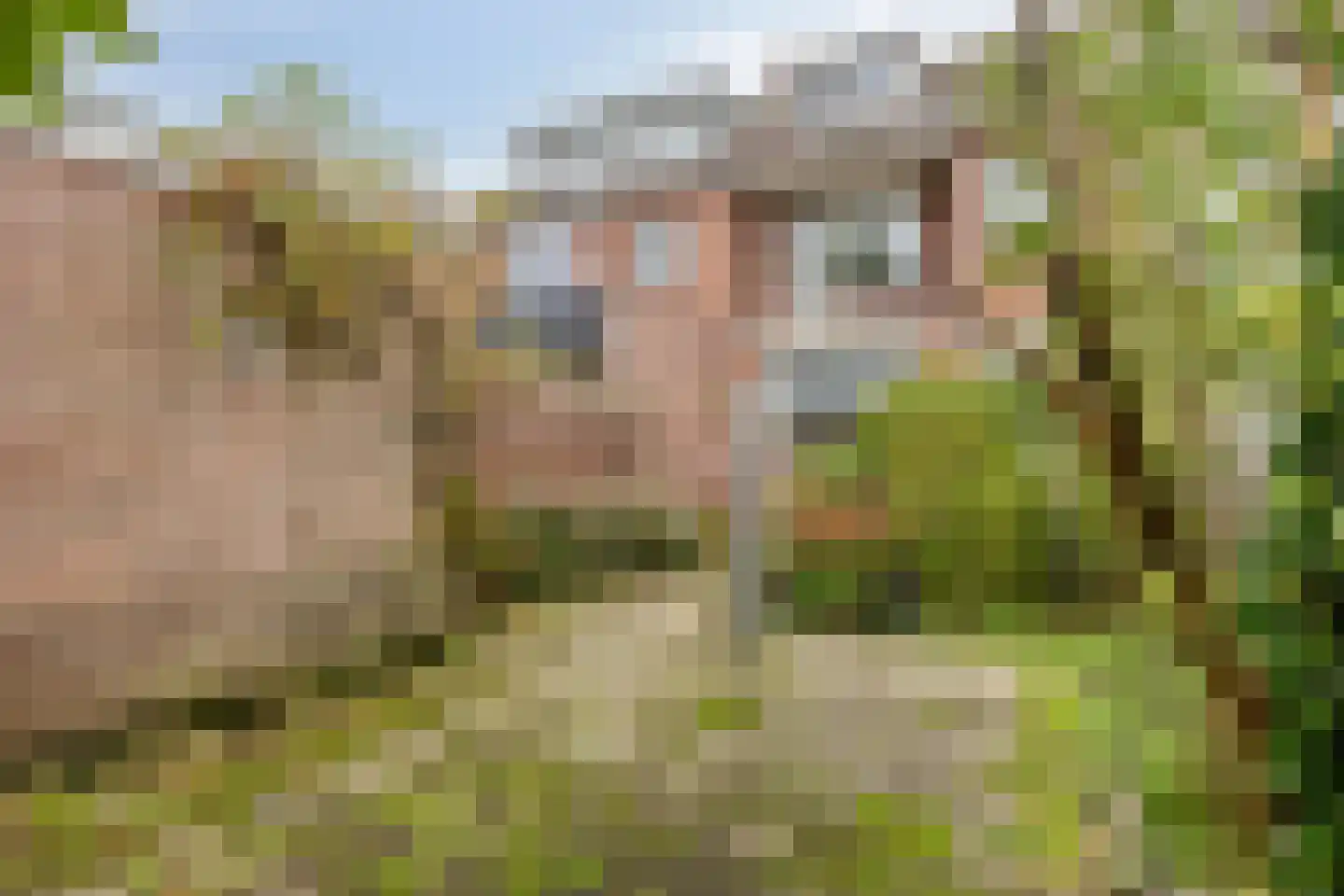 Nieuwpoortslaan 40 Monnickendam thumbnail 40