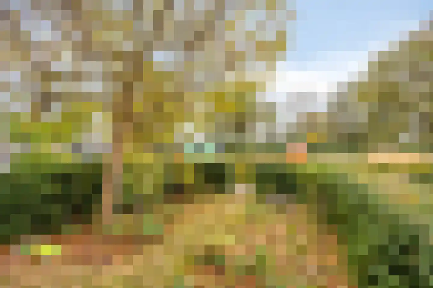 Nieuwpoortslaan 40 Monnickendam thumbnail 43