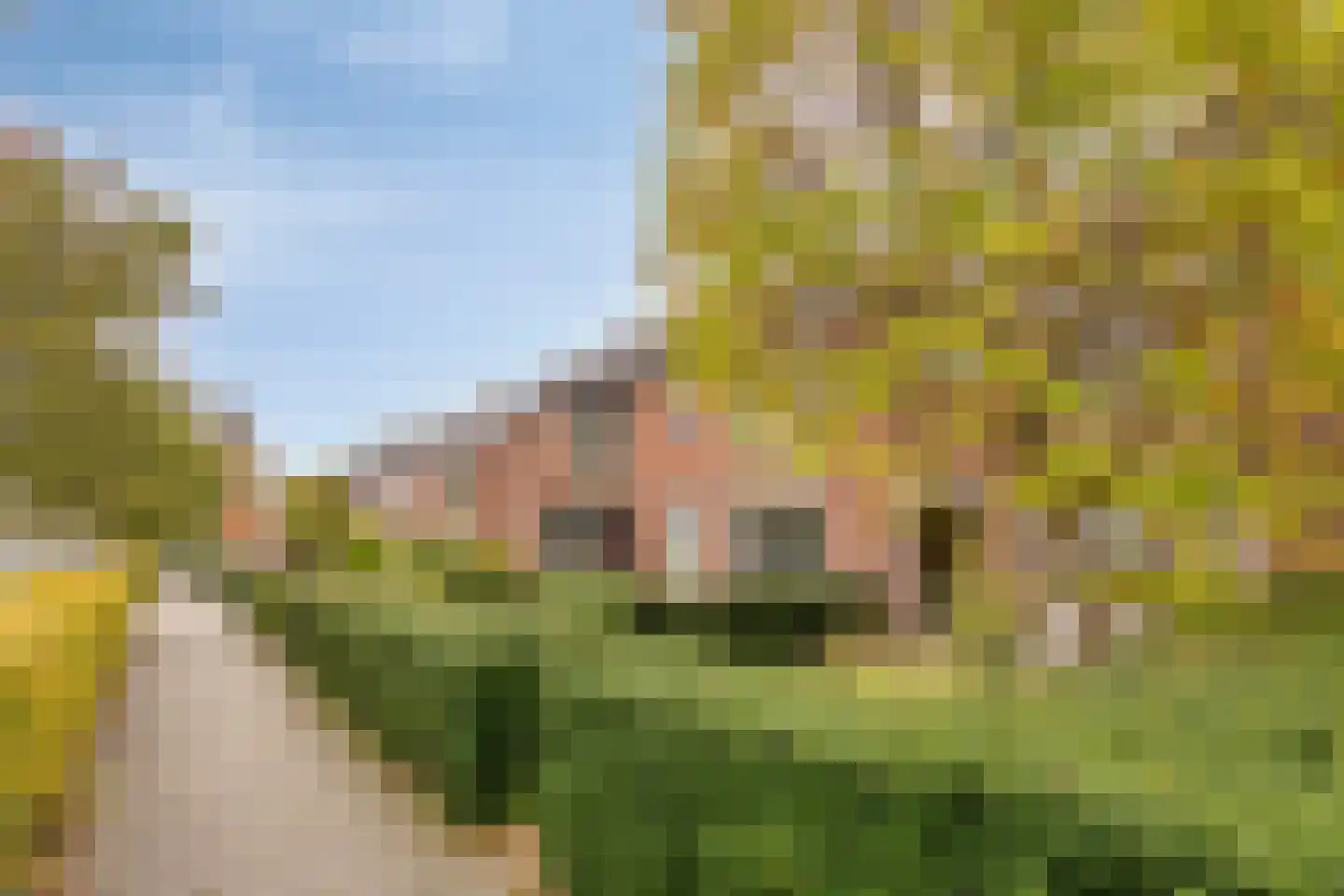 Nieuwpoortslaan 40 Monnickendam thumbnail 45