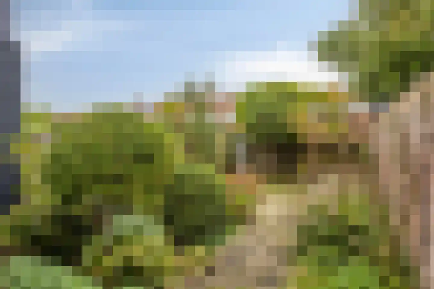 Nieuwpoortslaan 40 Monnickendam thumbnail 6