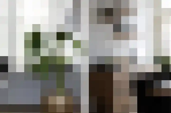 Nieuwpoortslaan 46 Alkmaar thumbnail 11