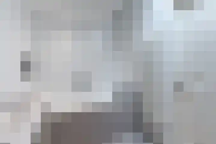 Nieuwpoortslaan 46 Alkmaar thumbnail 20