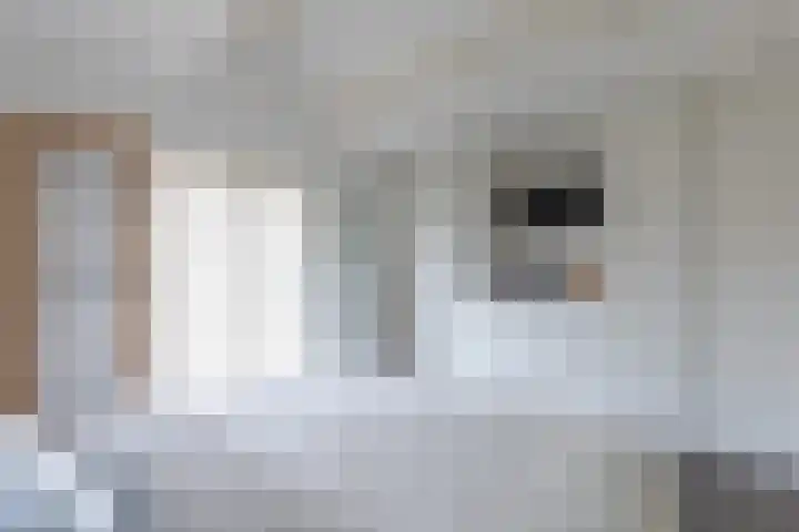 Nieuwpoortslaan 46 Alkmaar thumbnail 24