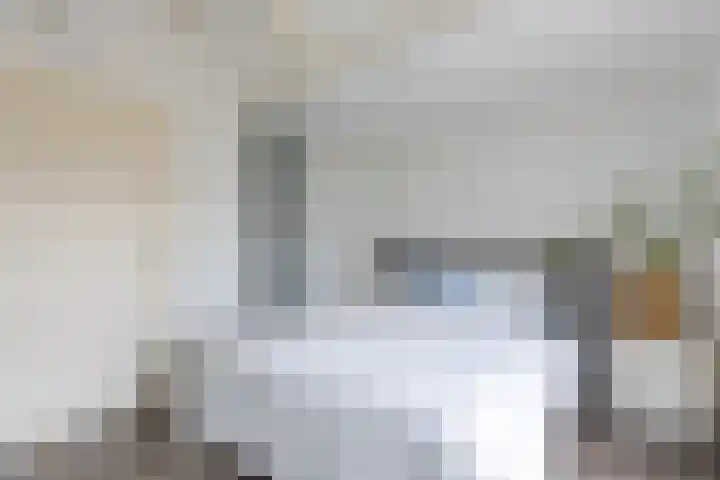 Nieuwpoortslaan 46 Alkmaar thumbnail 25
