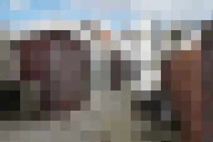 Nieuwpoortslaan 46 Alkmaar thumbnail 29