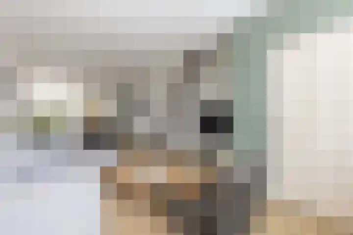 Nieuwpoortslaan 46 Alkmaar thumbnail 5