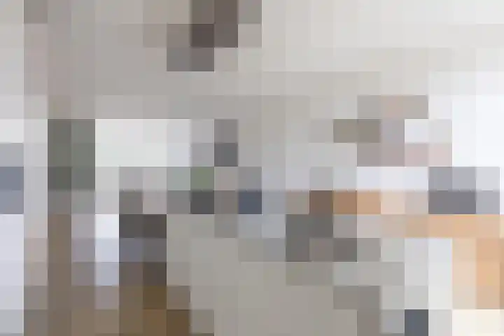 Nieuwpoortslaan 46 Alkmaar thumbnail 9