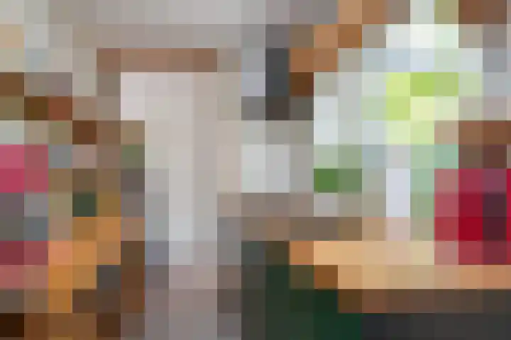 Nieuwpoortslaan 59 Alkmaar thumbnail 17