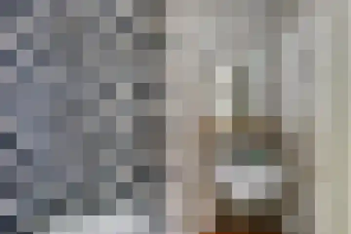 Nieuwpoortslaan 59 Alkmaar thumbnail 20