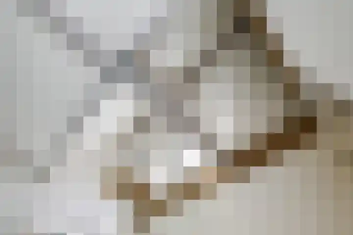 Nieuwpoortslaan 59 Alkmaar thumbnail 26