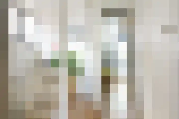 Nieuwpoortslaan 59 Alkmaar thumbnail 27